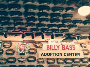 donate a billy bass and get a free meal!